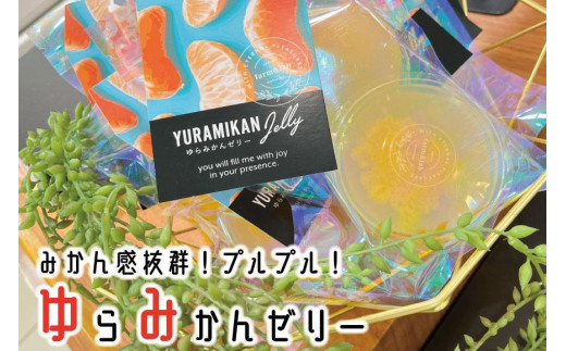 
旬の2個入りゼリー26袋 みかんの美味しさぎゅっと詰めました
