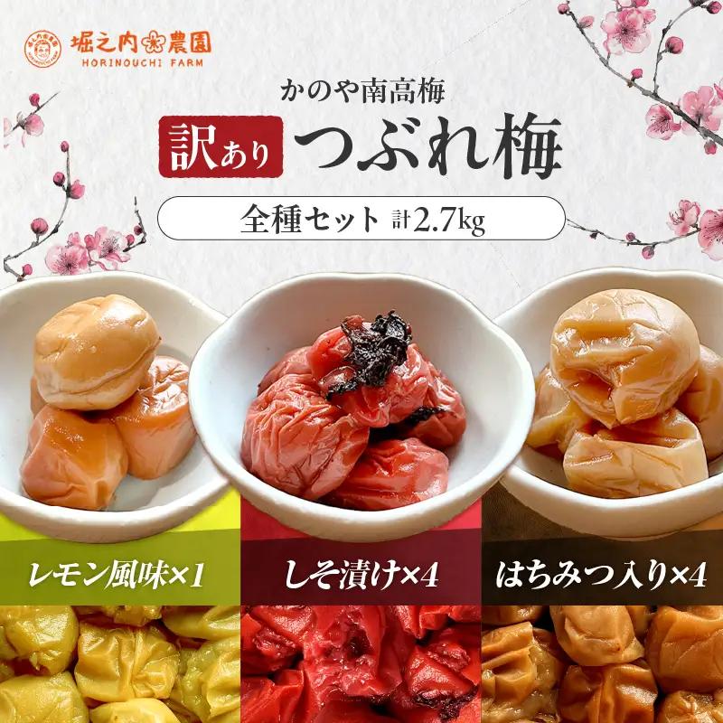 2589 ＜訳あり＞ つぶれ梅 梅干し かのや南高梅 食べ比べ G  （はちみつ梅×4、しそ梅×4、レモン風味×1） 計9袋 ×300g （計2.7kg） KN033-007-04 訳あり 梅 うめ うめぼし 塩漬け 天然 自家製 小分け はちみつ梅 しそ シソ シソ梅 レモン レモン風味 南高梅 堀之内農園 ふるさと納税 鹿児島 鹿屋市 おすすめ ランキング プレゼント ギフト