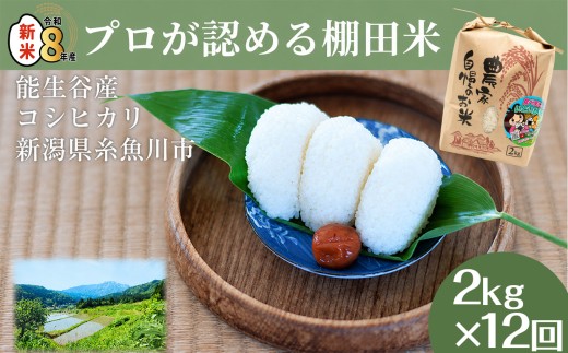 令和8年産新米 新潟県能生谷産コシヒカリ 2kg×12回【定期便】 プロも認める棚田米 農家直送 2026年産 JATs有限会社【新潟県 糸魚川市 米 お米 こめ コメ ご飯 ライス ふるさと納税米 ブランド米 おすすめ ギフト 2キロ 24キロ 精米 白米 人気 食品】