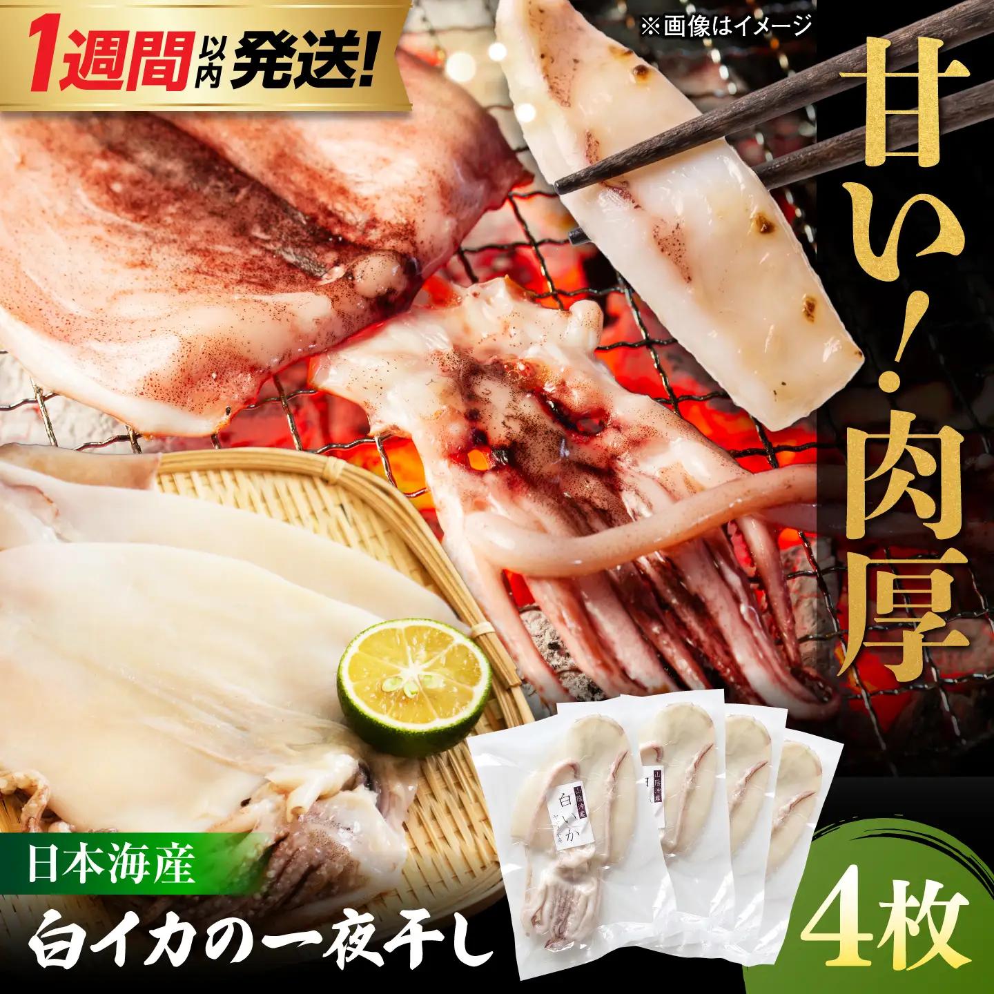 【1週間以内発送】イカ 白イカ 一夜干し 4枚セット [ALDB026]