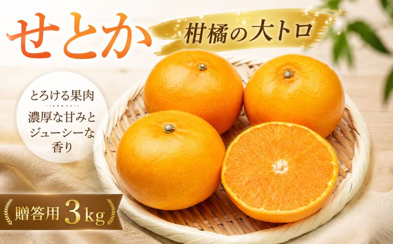 せとか 約3kg 贈答用 秀品 化粧箱 【2027年2月上旬頃から順次発送】 | みかん 愛媛 せとか 愛媛三大高級柑橘 ( 紅まどんな 甘平 せとか ) のひとつ 柑橘 愛媛オリジナル品種 ブランド セトカ ミカン かんきつ mikan フルーツ くだもの 果実 カンキツ 果物 ふるーつ おやつ 蜜柑 おれんじ オレンジ orange お歳暮 進物 送料無料 松山市 愛媛県