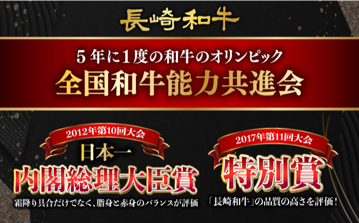 国産 牛肉100% ハンバーグ A5 冷凍 訳あり 定期便 ていきびん 定期