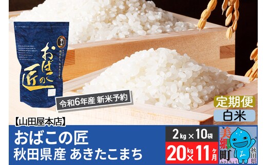 
										
										【白米】＜令和6年産 新米予約＞《定期便11ヶ月》おばこの匠 秋田県産あきたこまち 20kg×11回 計220kg 11か月 11ヵ月 11カ月 11ケ月 秋田こまち お米
									