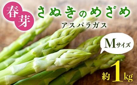 【先行予約2026年2月中旬～2026年6月下旬頃お届け】春芽 さぬきのめざめアスパラガス Mサイズ 約1kg F5J-766