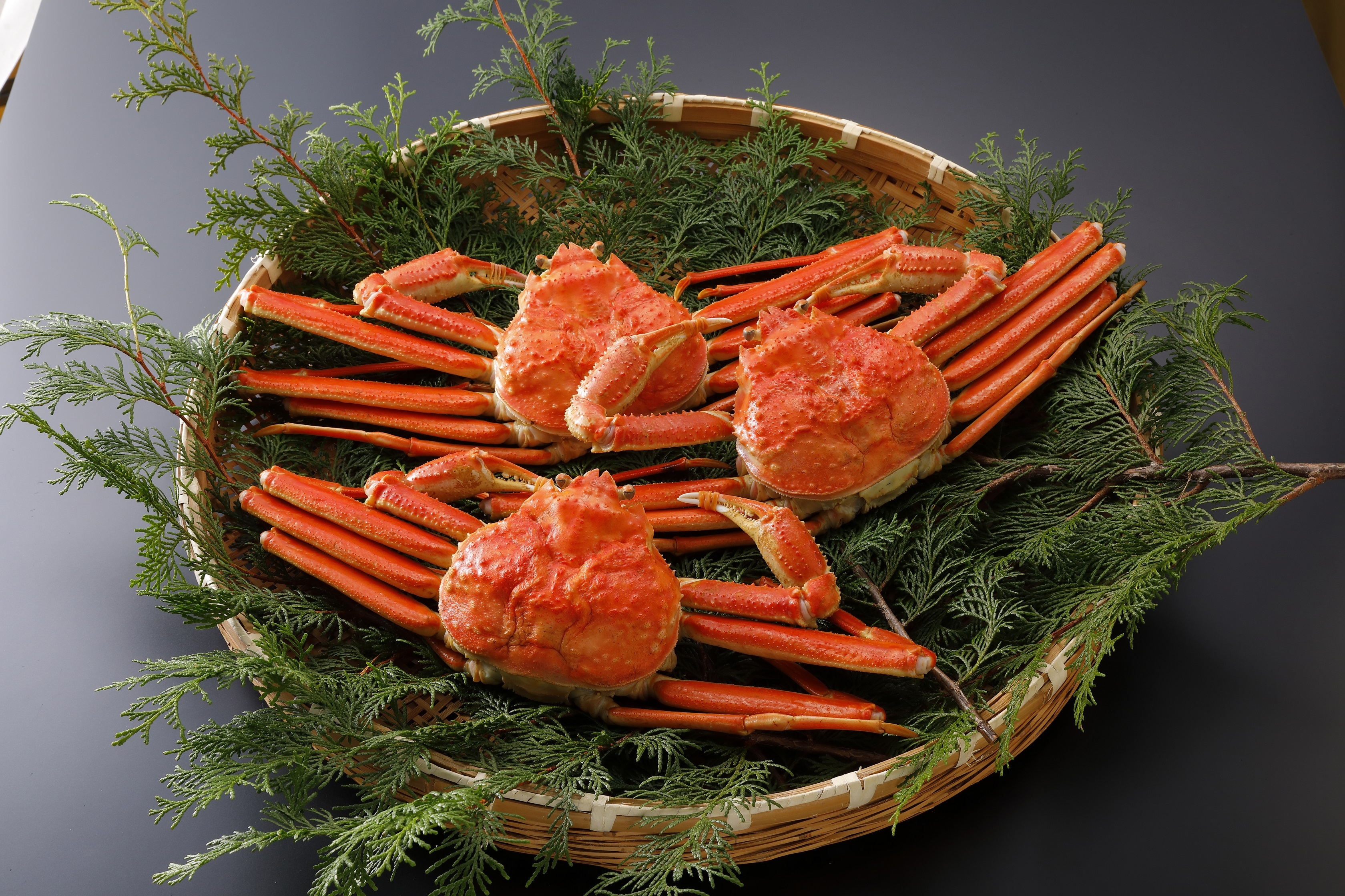 
            【ボイル】訳あり 松葉がに 900g超の大きいサイズ　特大3杯
          