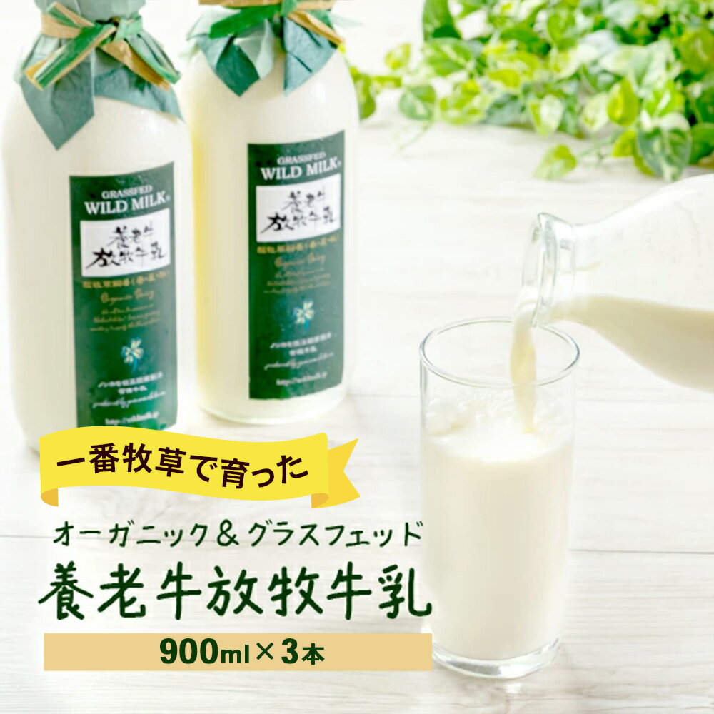 【ふるさと納税】【期間限定：一番牧草】オーガニック＆グラスフェッド養老牛放牧牛乳900ml×3本 | オーガニック グラスフェッド 牛乳 一番牧草 北海道 有機JAS認証 低温殺菌 ノンホモ製法 セット 養老牛 山本牧場 ふるさと納税 中標津 中標津【13018】
