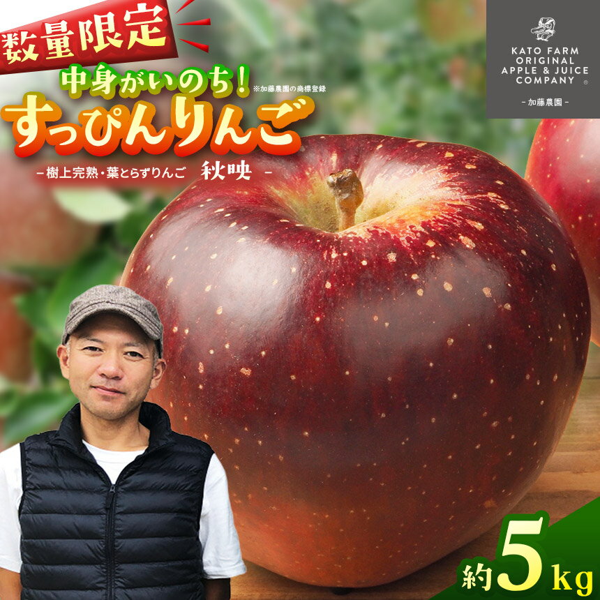 【ふるさと納税】【数量限定】樹上完熟 葉取らず 秋映 りんご【2026年 先行予約】| 9月 下旬より発送 すっぴんりんご 産地直送 国産 先行予約 5kg 林檎 フルーツ 果物 栃木県矢板市産