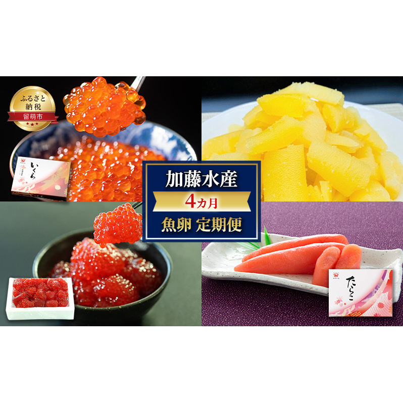 魚卵 定期便 4ヶ月 いくら 数の子 筋子 たらこ 加藤水産 イクラ 360g かずのこ すじこ 500g 切子 鮭いくら 醬油漬け 加工品 魚介 魚介類 海鮮 海鮮セット ご飯のお供 ごはんのお供 