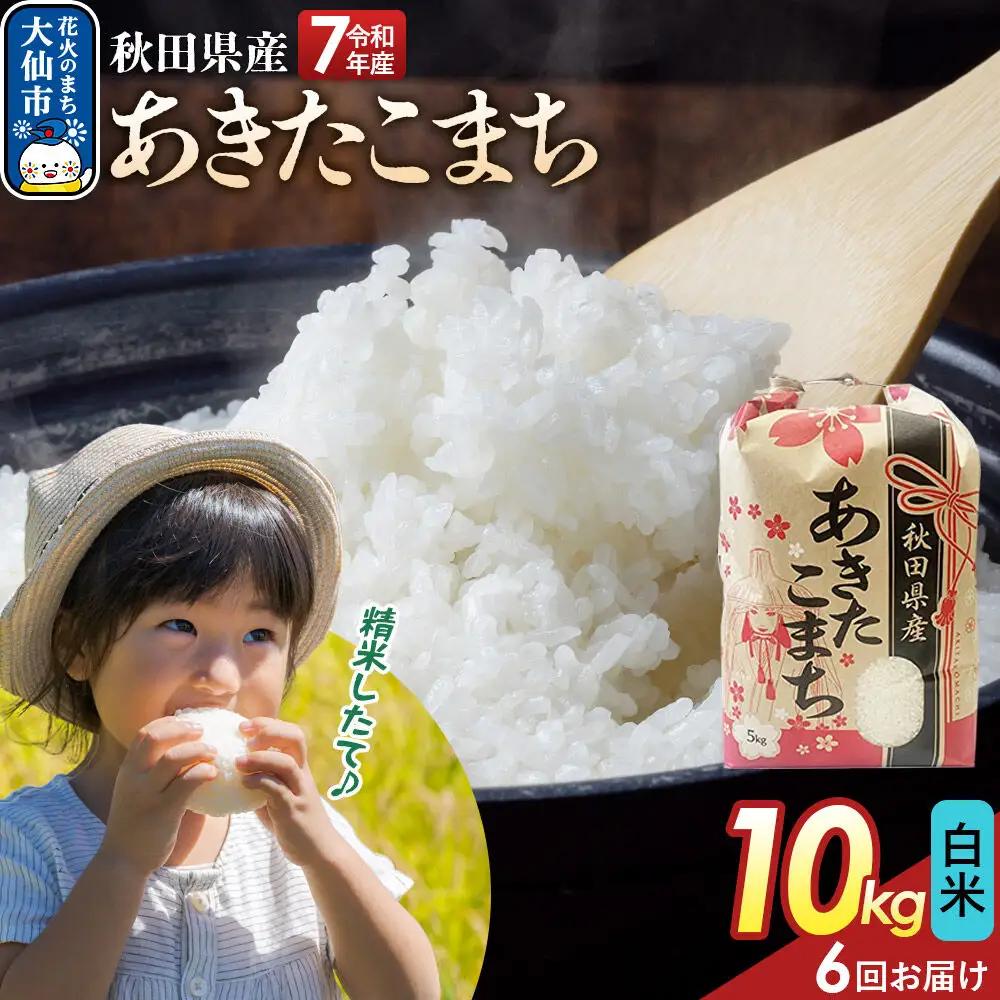 《定期便6ヶ月》【白米】あきたこまち 10kg（5kg×2） 秋田県産 令和7年産  こまちライン 秋田県 大仙市産