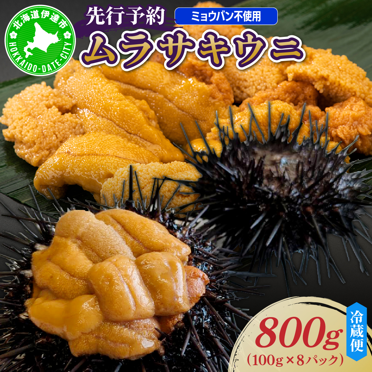 ＜先行予約＞ 北海道産 ムラサキウニ（正規品）800g【ogm-037】生うに 塩水うに ミョウバン不使用 海鮮 国産 北海道 伊達 ふるさと納税