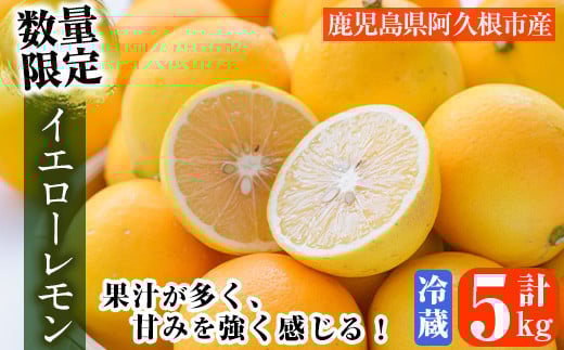 数量限定！冷蔵品イエローレモン(5kg)国産 マイヤーレモン 檸檬 オレンジ 果実 果物 フルーツ 柑橘 デザート 期間限定  【桐野柑橘株式会社】akn070-13