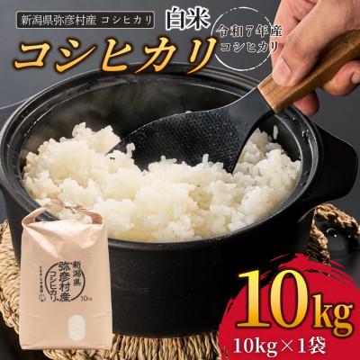ふるさと納税 弥彦村 新潟県弥彦村石井農園　令和7年産コシヒカリ【白米 10kg】
