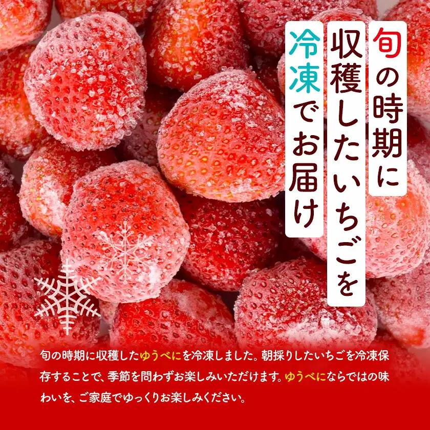 冷凍いちご ゆうべに 3kg 福本農園