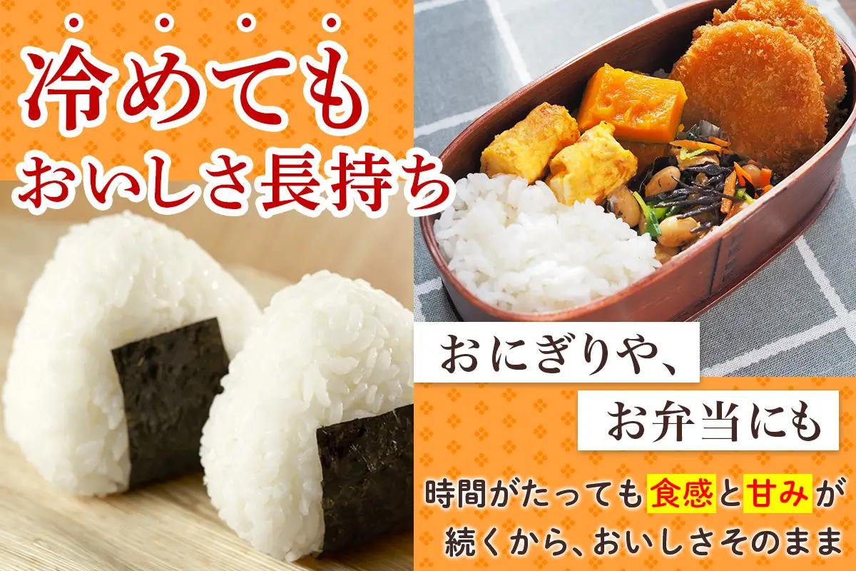 令和8年産 つがる市産 はれわたり 白米／玄米 10kg [1072]
