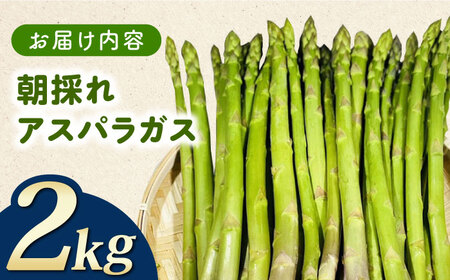 訳あり！朝採れアスパラガス2kg 《対馬市》【農家くんのアスパラファーム】  冷蔵 アスパラ とれたて 新鮮 野菜　産地直送[WCT002]