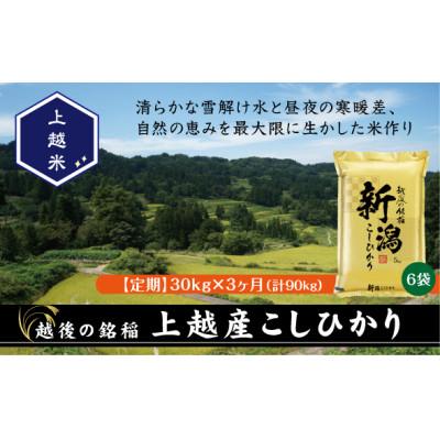 ふるさと納税 上越市 【毎月定期便】食味鑑定士厳選 上越産こしひかり[5kg×6袋]全3回