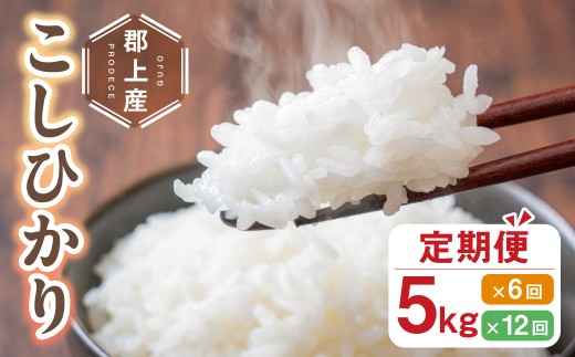 令和7年産 郡上産こしひかり 5kg 定期便 6回 6ヶ月 食品 米 精米 白米 コシヒカリ お米 コメ こめ 米 80000円 G0411_5_te6