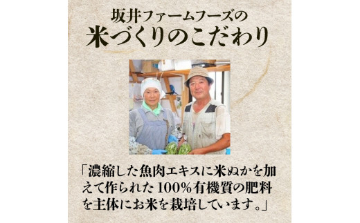 令和8年産 コシヒカリ 新潟 10kg×8か月 坂井ファーム 特別栽培米コシヒカリ 米 お米 定期便 10kg 5kg×2袋 80kg 8か月 新潟 新発田 コシヒカリ seidaSK008