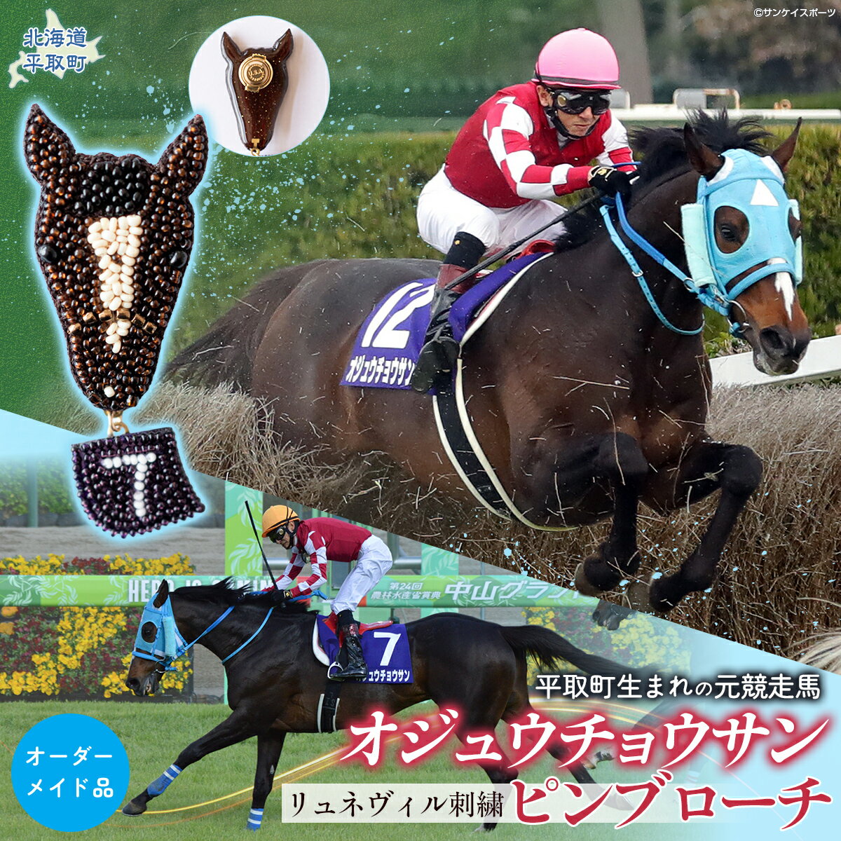 【ふるさと納税】【オーダーメイド品】リュネヴィル刺繍ピンブローチ【 ふるさと納税 人気 おすすめ ランキング ブローチ 馬 競馬 競走馬 引退馬 オジュウチョウサン オーダーメイド 北海道 平取町 送料無料 】 BRTV003