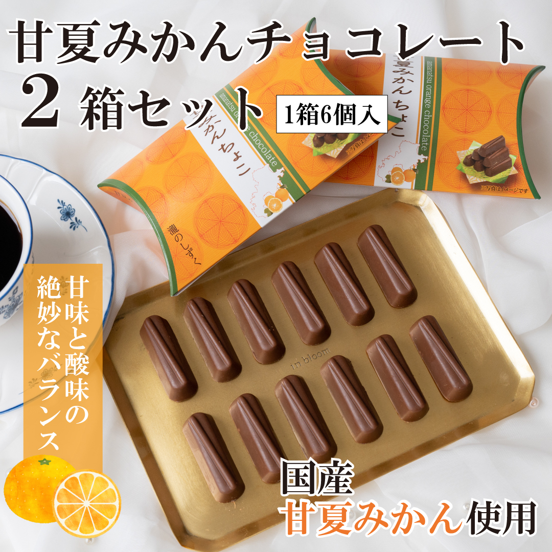 【スピード発送】甘夏みかんチョコレート 2箱セット  瀧のしずく 005A544