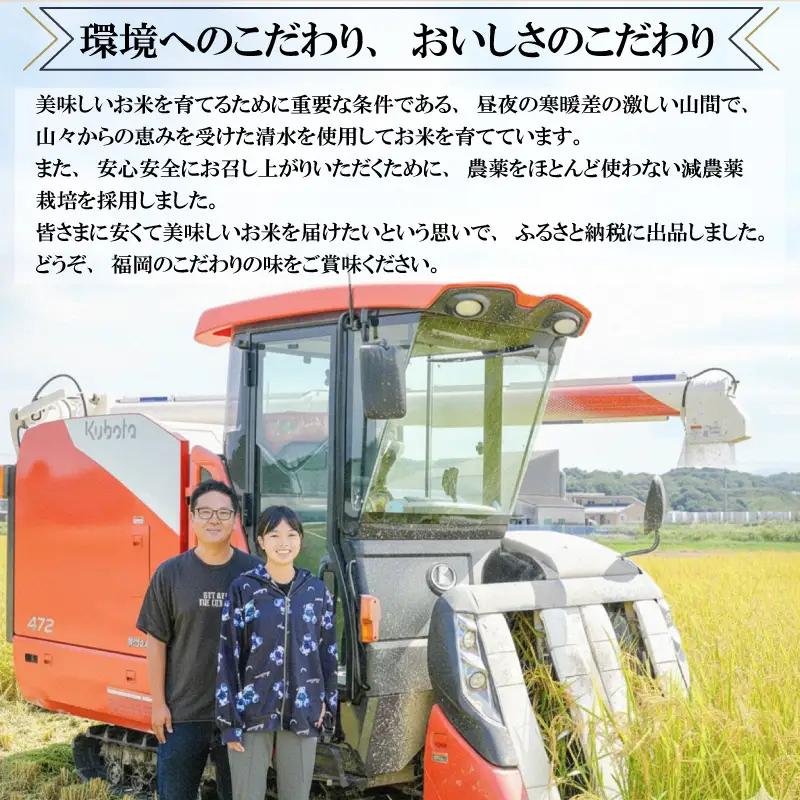 【令和8年産先行予約！2026年10月上旬以降発送】元気つくし 10kg |米 FRF
