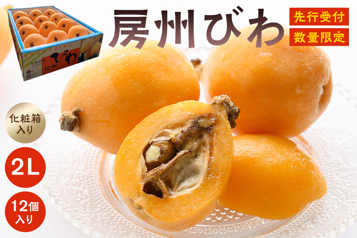 
                  【先行受付 2026年5月下旬～6月下旬発送予定】房州びわ(露地栽培) 2L以上12ヶ入り 1箱 mi0038-0002【びわ フルーツ 旬 季節 果物 瑞々しい お取り寄せ グルメ】
                