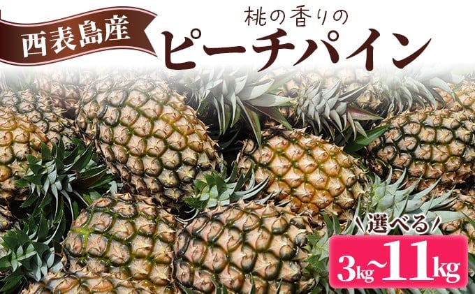 
            【内容量が選べる】2026年  先行予約 ピーチパイン 約3〜11kg (3～18玉) 桃の香り ますみ農園 パイン 果物 フルーツ パイン
          