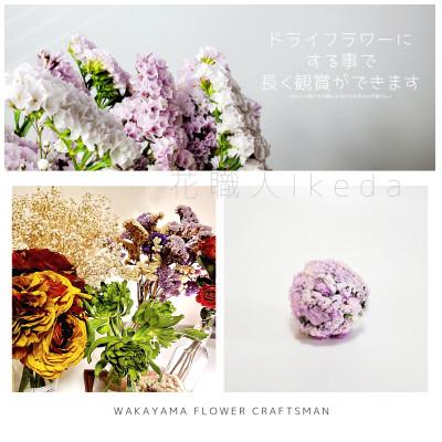 ふるさと納税 印南町 生花【スターチス】花職人Ikedaオリジナル詰め合わせ |  | 01