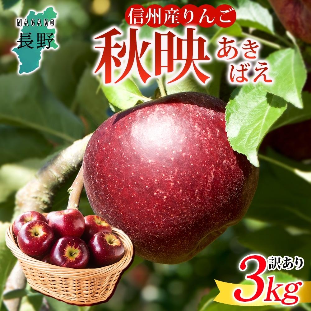 【ふるさと納税】＜26年発送 先行予約＞長野県産 りんご 秋映 訳あり 約3kg リンゴ 旬 フルーツ 訳アリ 林檎 果物 規格外 自家用 産地直送 農園 産直 お取り寄せ もぎたて 採れたて 送料無料 堀田農園 信州 大町市