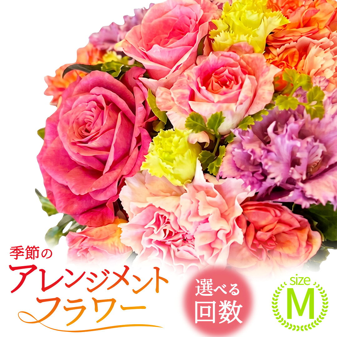 【ふるさと納税】【 選べる お届け 回数 】季節 の フラワー アレンジメント ＜ M ＞ 花 お花 季節の花 生花 3ヵ月 6ヶ月 12ヶ月 定期便　記念日 誕生日 自宅用 インテリア 部屋飾り 装飾 贈答 ギフトプレゼント おしゃれ 茨城県 城里町