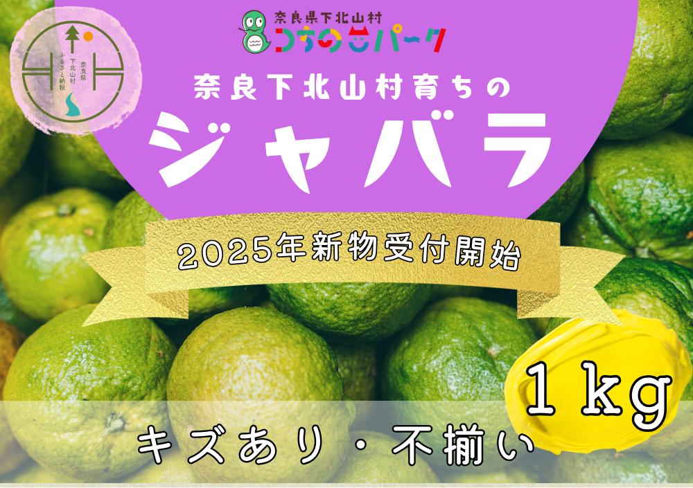 
            【2025年度新物】先行予約！奈良県下北山村産 ジャバラ果実 ＜キズあり・サイズ混合＞ 1kg（12月中旬以降発送）
          
