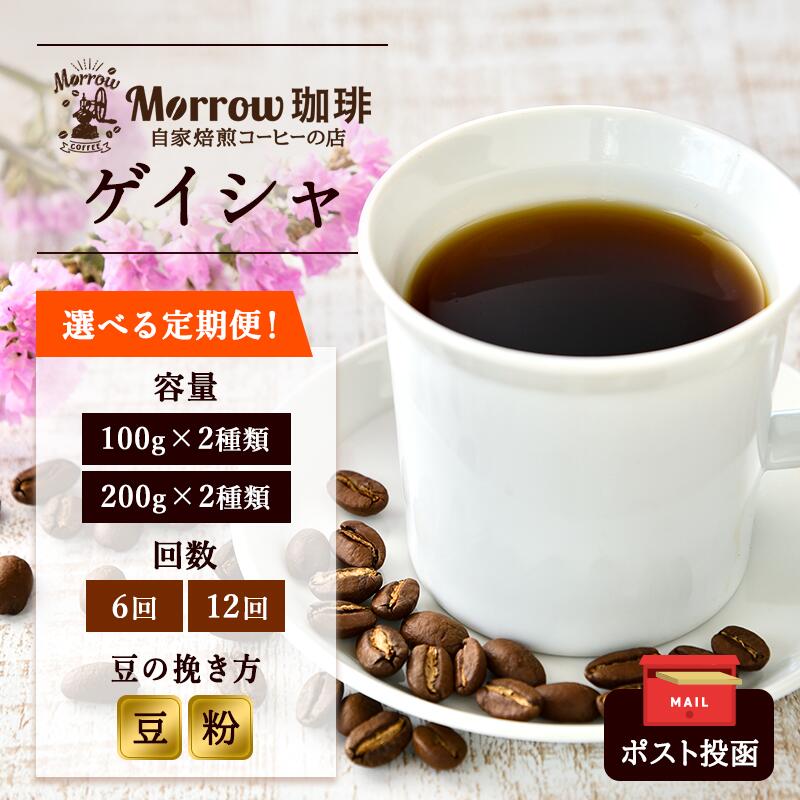 【ふるさと納税】定期便 世界最高峰 珈琲の一つ ゲイシャ ポスト投函 珈琲 コーヒー お楽しみ Morrow珈琲