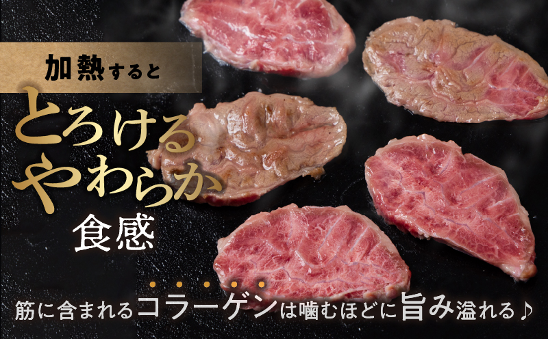 【超希少】宮崎県産黒毛和牛千本筋ブロック(計300g以上) 肉 牛 牛肉 国産_T023-0151