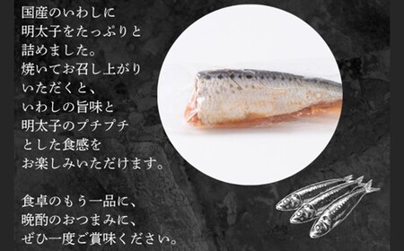 AF094.いわし明太（15尾）【辛子明太子】