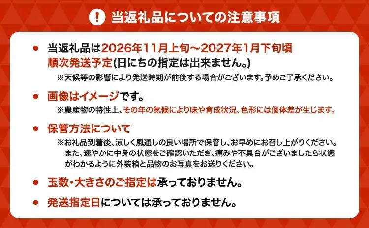 先行予約 みかん 愛紅小町 あいかちゃん 約3kg 25～35玉 吉田レモニー  2026年11月上旬から2027年1月下旬発送予定