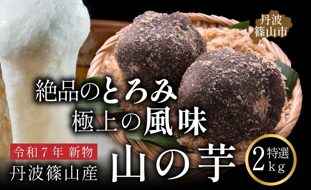 
            【12/25迄年内発送】丹波篠山産 山の芋 令和7年 新物 選べる 【 2kg 6~7個入り 】数量限定 おせち 鍋 滋養強壮 やまのいも芋 山芋 やまのいも とろろ 霧芋 丹波篠山 贈答用
          