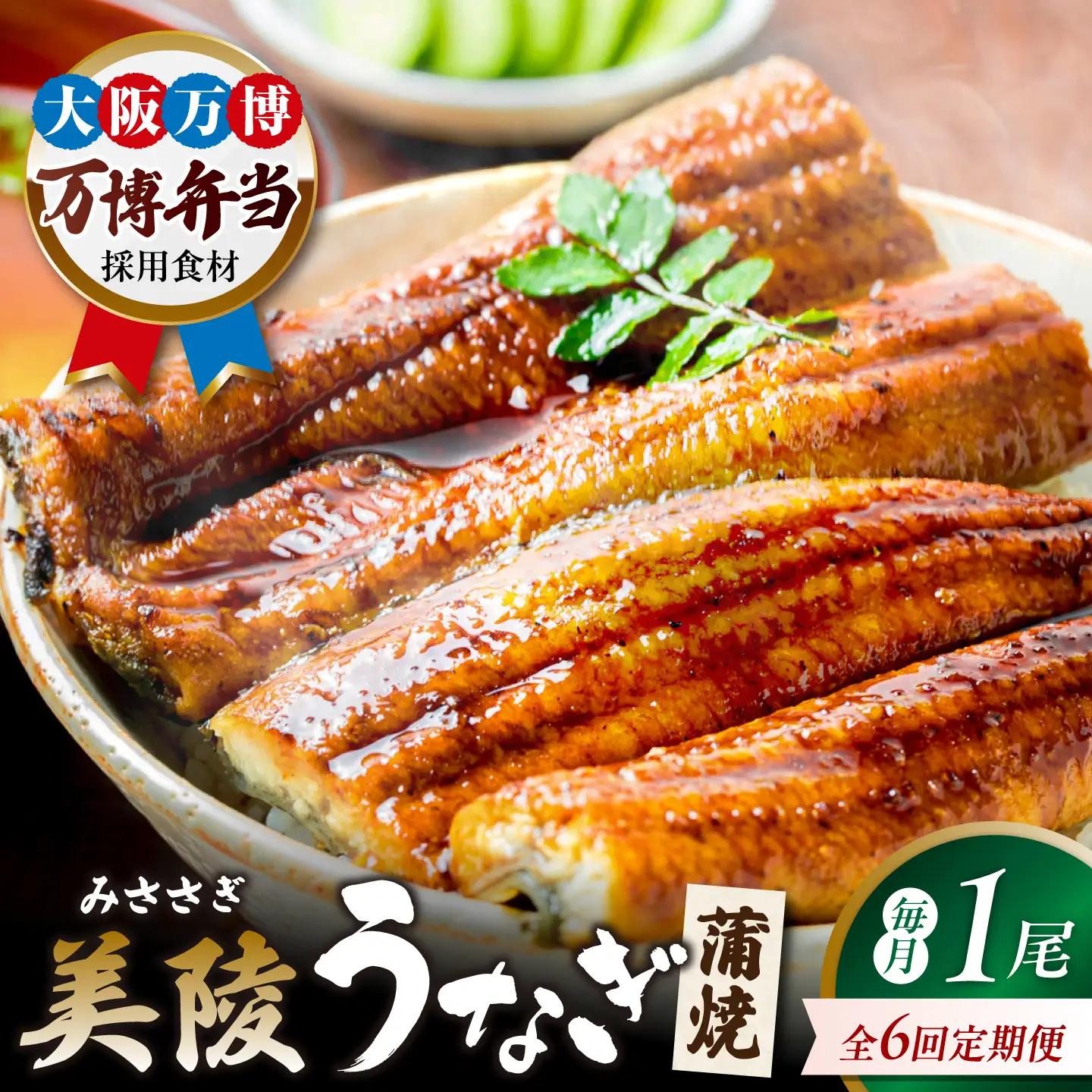 【6回定期便】鰻 鰻の蒲焼 1尾 BLAM016