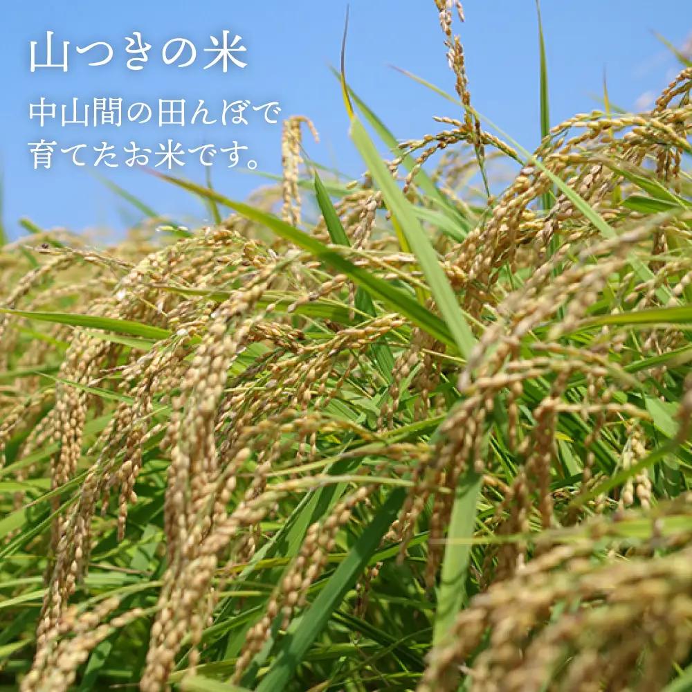 福吉産・ 山つき の もち米 1kg  《糸島》【二丈赤米産直センター】 [ABB027] 糯米 餅 おこわ