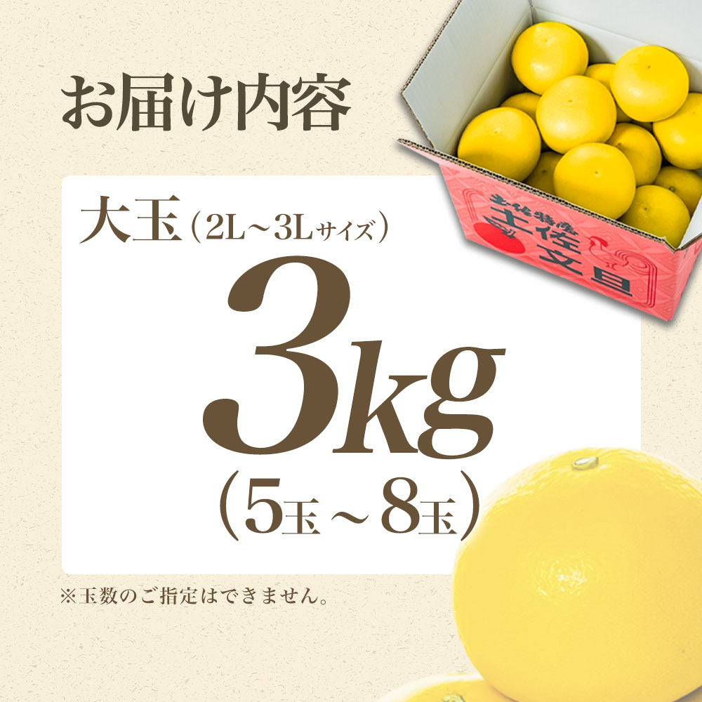 【日本ギフト大賞2024受賞】【先行予約】 文旦3kg 大玉（3L～2L）家庭用 高知県 土佐文旦  旬 ぶんたん ブンタン 柑橘 フルーツ 果物 【やの一果彩】 [BQAC001]