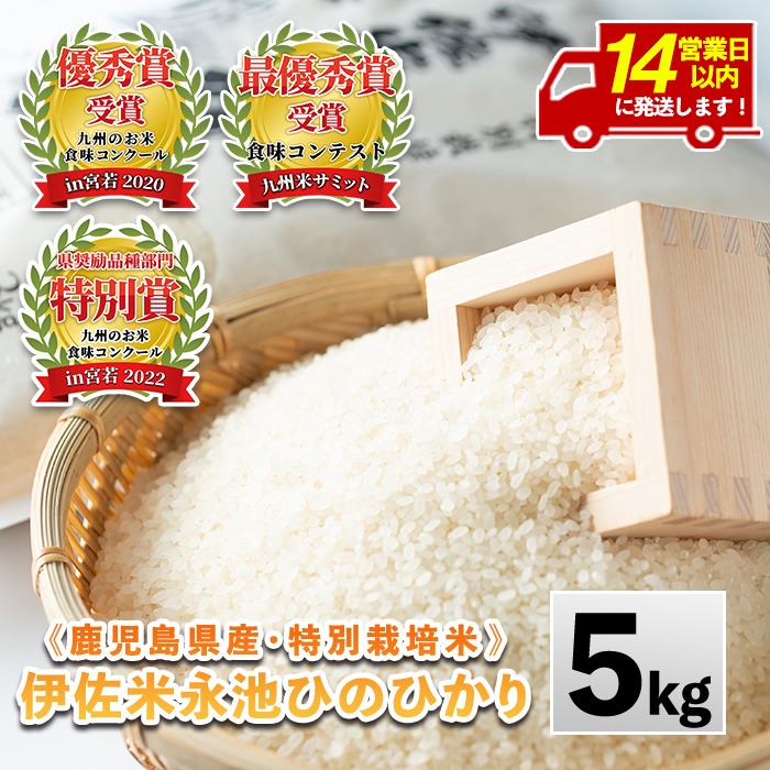 Z7-01 ＜先行予約受付中！2025年10月中旬から順次発送＞《数量限定》令和7年産 新米 特別栽培米 伊佐米永池ひのひかり(5kg) 伊佐市 永池 特産品 伊佐米 九州米サミット 食味コンテスト 最優秀賞受賞 ヒノヒカリ 5kg 【エコファーム永池】