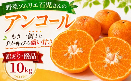 【2027年先行予約】【訳あり・優品】野菜ソムリエ石児さんの「アンコール 10kg」／ アンコール あんこーる アンコールオレンジ ミカン みかん 蜜柑 柑橘 甘い 10kg 柑橘類 10キロ 訳あり ワケアリ フルーツ 先行予約 3月 4月 3月発送 4月発送 ＜103-020＞