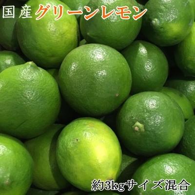 ふるさと納税 有田川町 【産直】和歌山産グリーンレモン約3kg(サイズ混合)【有田川町】