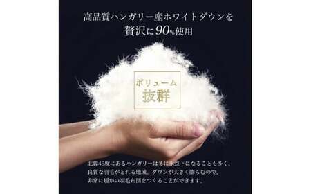 羽毛布団 【パウダーグレー】本掛け羽毛布団 シングル ハンガリーホワイトダウン90％ 京都金桝 羽毛布団 日本製羽毛布団 京都亀岡産羽毛布団 冬用羽毛布団 アクア