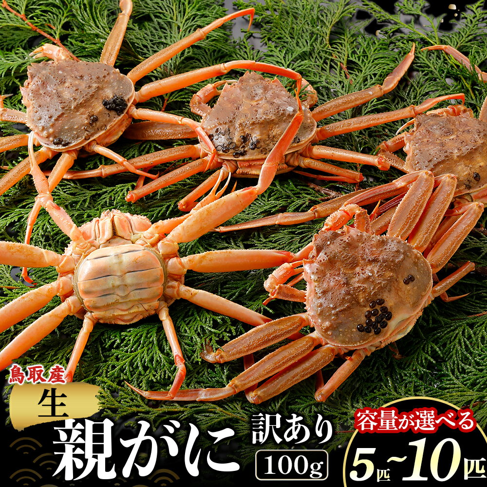 【ふるさと納税】【年内発送】【訳あり】【生親がに 100g 5〜10匹】選べる容量！ 年内発送！カニ 親がに 親ガニ ズワイガニ カニの甲羅 カニ味噌 内子 外子 蟹身 かにみそ 海鮮 国産 松葉ガニ 生活応援 大人気 期間限定 日本海