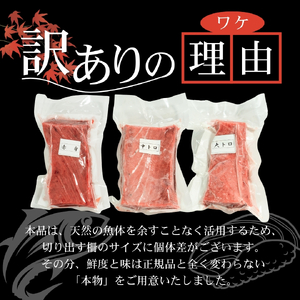 【スピード発送】 訳あり 天然本まぐろ 赤身600g以上 まぐろ