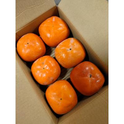 ふるさと納税 橋本市 紀の川柿(訳あり品)12〜15個入り |  | 01