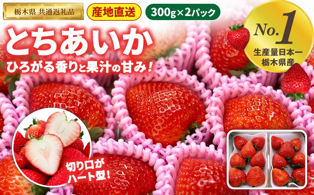 いちご とちあいか 300g×2パック【栃木県共通返礼品】 | いちご イチゴ 苺 とちあいか 生いちご 高級いちご 季節の果物 栃木県産 国産 農家直送 ギフト プレゼント お祝い お返し いちごギフト ※2026年12月～発送