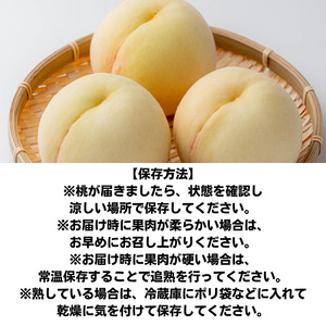 家庭用 桃 3玉 大玉 約900g 岡山県産 【先行予約 2025年7月上旬から順次発送】