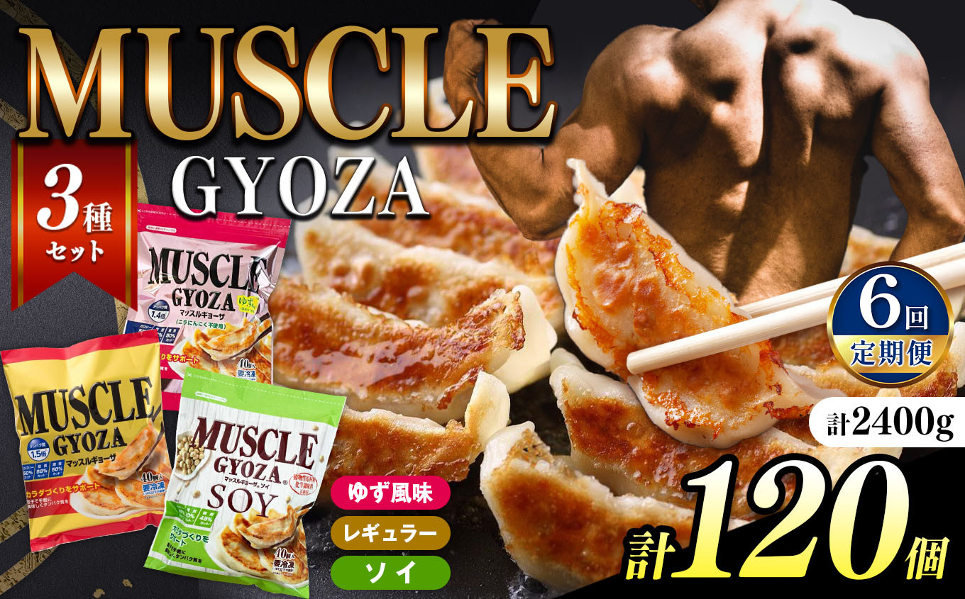 
                  【定期便6回】MUSCLE GYOZA ~マッスルギョーザ　～3種セット（40個入り袋×3） | 餃子 ギョーザ 高タンパク 低糖質 低脂質 低カロリー マッスルギョーザ 長野県 松本市 信州産
                