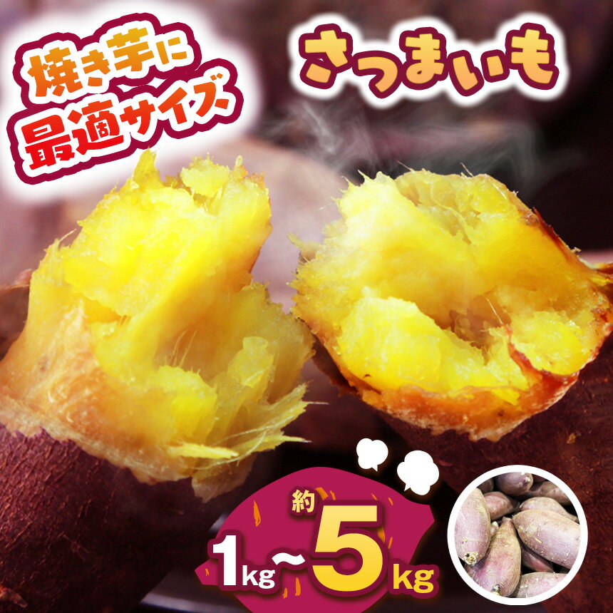 【ふるさと納税】【先行予約】食べやすい焼き芋サイズ 選べる内容量1kg～5kg | さつまいも 芋 さつまいもご飯 炊き込みご飯 スイートポテト 大学芋 栗きんとん 秋 さつまいも 秋の味覚 栃木県 下野市 しもつけ市